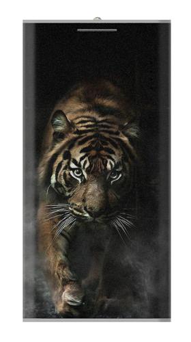 Bengal Tiger Iphone6 Case