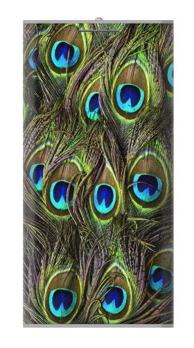 Peacock Feather Iphone6 Case