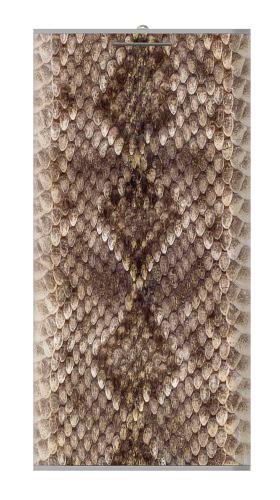 Rattle Snake Skin Iphone6 Case