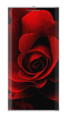 Red Rose Iphone6 Case