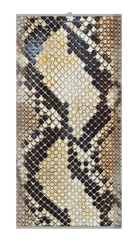 Snake Skin Texture Iphone6 Case