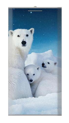 Polar Bear Family Arctic Iphone6 Case
