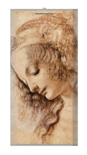 Leonardo da Vinci Woman's Head Iphone6 Case