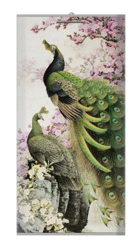 Peacock Chinese Brush Painting Iphone6 Case