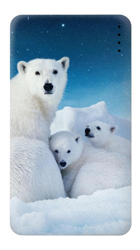 Polar Bear Family Arctic Iphone6 Case