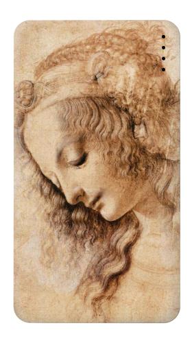 Leonardo da Vinci Woman's Head Iphone6 Case