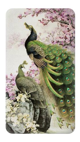 Peacock Chinese Brush Painting Iphone6 Case