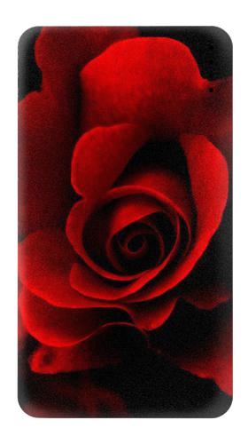 Red Rose Iphone6 Case